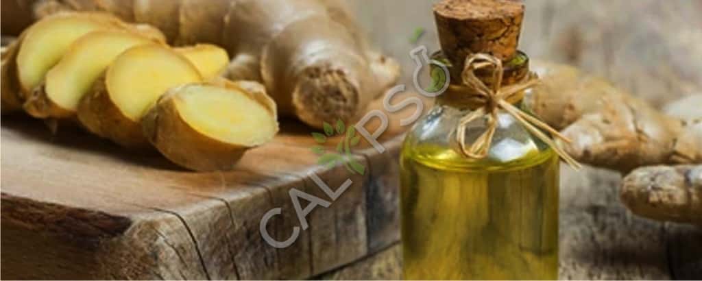 Ginger Essential Oil